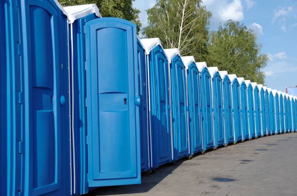 Best Affordable portable toilet rental  in Park Forest, IL